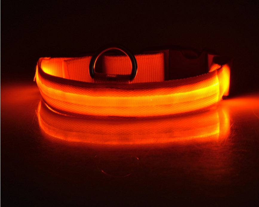 Nylon LED Pet Dog Luminous Collar Night Safety Flashing Glow in Dark Dog Cat Leash