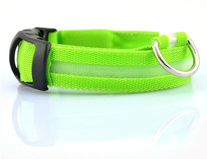 Nylon LED Pet Dog Luminous Collar Night Safety Flashing Glow in Dark Dog Cat Leash