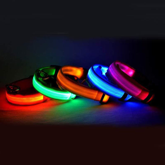 Nylon LED Pet Dog Luminous Collar Night Safety Flashing Glow in Dark Dog Cat Leash