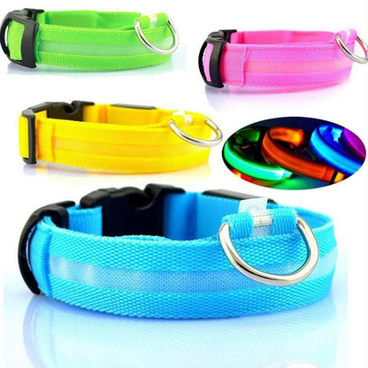 Nylon LED Pet Dog Luminous Collar Night Safety Flashing Glow in Dark Dog Cat Leash