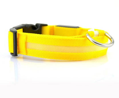 Nylon LED Pet Dog Luminous Collar Night Safety Flashing Glow in Dark Dog Cat Leash